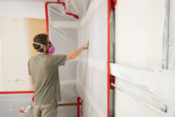 Best Real Estate Mold Inspection  in Banner Elk, NC